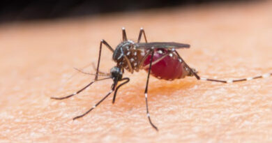 Más de 1500 casos de dengue se han reportado en Dosquebradas