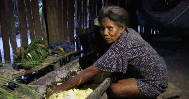 Tres jóvenes pereiranas estrenan documental sobre la hoja de coca en el Amazonas