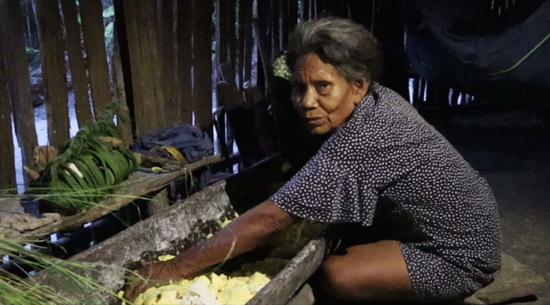 Tres jóvenes pereiranas estrenan documental sobre la hoja de coca en el Amazonas