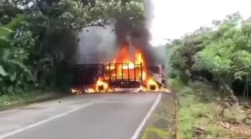 Mindefensa ofrece recompensa por cabecillas del ELN que delinquen en Risaralda y Chocó