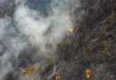 Aún no ha comenzado el fenómeno del niño, y ya se reportan los primeros incendios de de capa vegetal