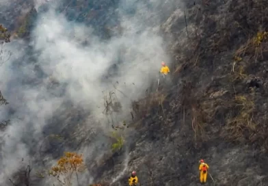 Aún no ha comenzado el fenómeno del niño, y ya se reportan los primeros incendios de de capa vegetal