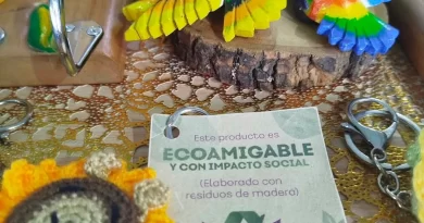 Lunarie: el arte de transformar madera reciclada en piezas con conciencia ambiental