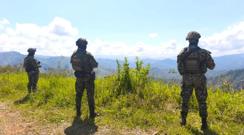 El San Mateo ha capturado a 53 personas por diferentes delitos
