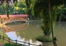 Parque Consotá anuncia la reapertura total de todos sus espacios tras completar verificaciones de seguridad