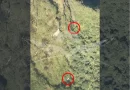 La Fuerza Aérea Colombiana confirmó la localización de indicios que corresponderían a la avioneta Cessna T-206