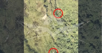 La Fuerza Aérea Colombiana confirmó la localización de indicios que corresponderían a la avioneta Cessna T-206