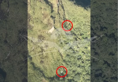 La Fuerza Aérea Colombiana confirmó la localización de indicios que corresponderían a la avioneta Cessna T-206