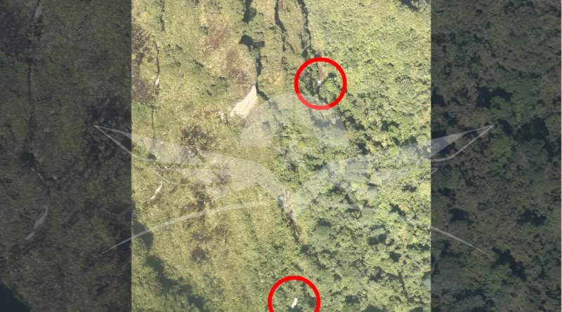 La Fuerza Aérea Colombiana confirmó la localización de indicios que corresponderían a la avioneta Cessna T-206