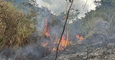En Quinchía ardió el Cerro Opiramá