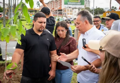 Un árbol, una vida. El homenaje a las víctimas del terremoto
