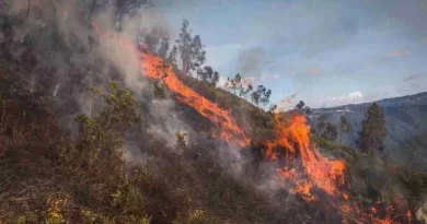 Seis de los 14 municipios de Risaralda han reportado afectaciones asociadas al fenómeno de El Niño