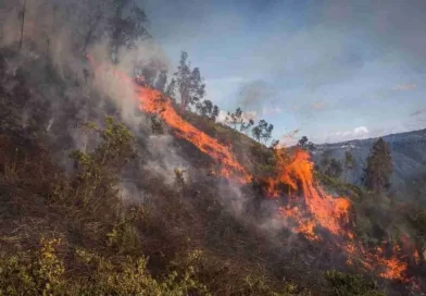 Seis de los 14 municipios de Risaralda han reportado afectaciones asociadas al fenómeno de El Niño